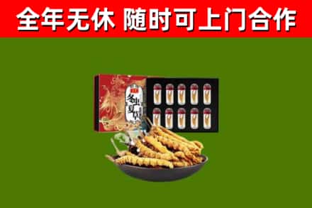 应市烟酒回收冬虫夏草礼盒.jpg
